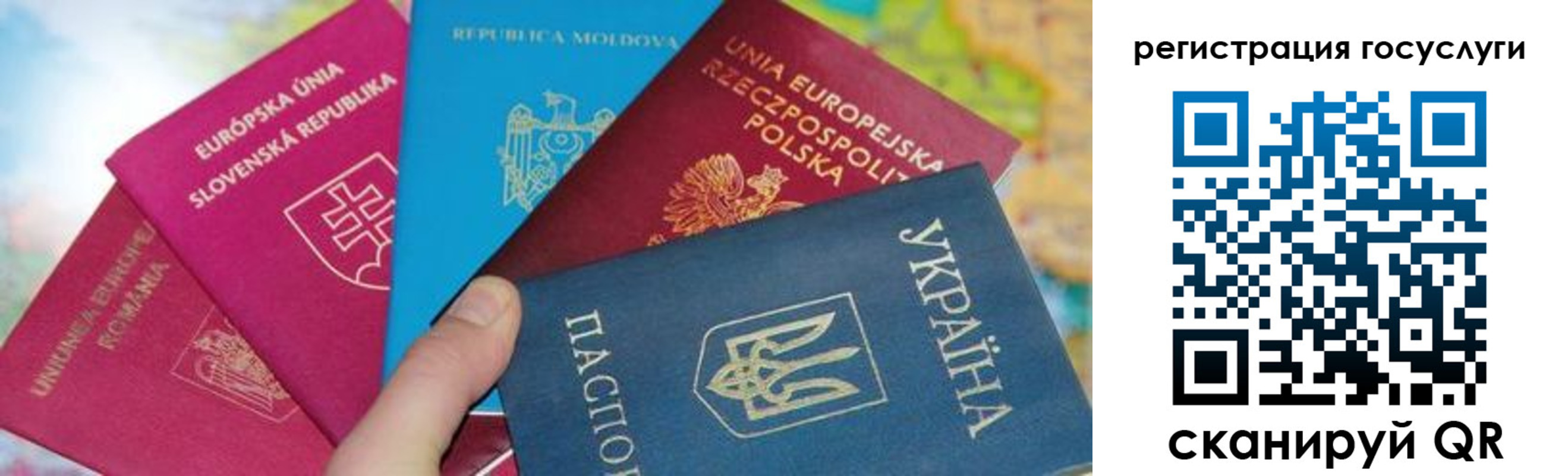 прописка гарантия в Вологде